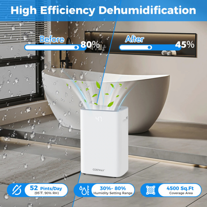 Dehumidifier with Auto Drain or Manual Drainage - Image 2